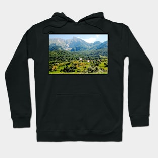 Dreznica Hoodie